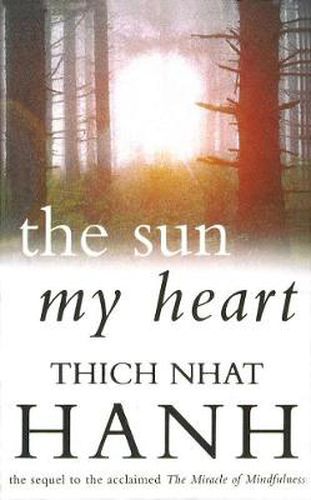 Sun My Heart: From Mindfulness to Insight Contemplation