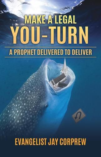 Cover image for Make a legal YOU-Turn