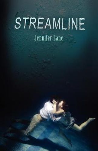 Cover image for Streamline