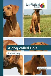 Cover image for A dog called Colt