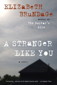 Cover image for A Stranger Like You: A Novel