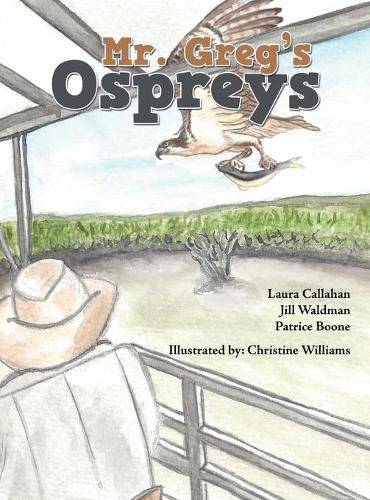 Cover image for Mr. Greg's Ospreys