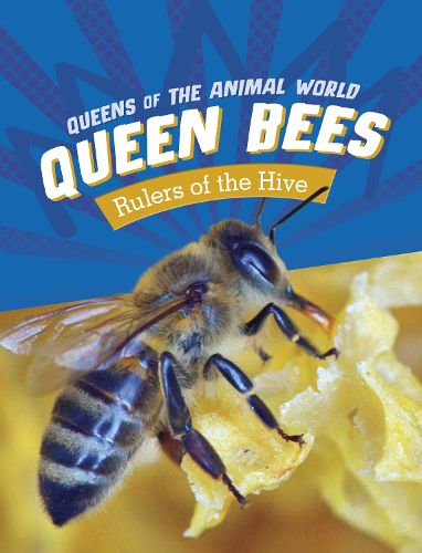 Cover image for Queen Bees