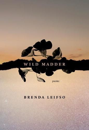 Cover image for Wild Madder