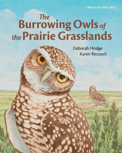 Cover image for The Burrowing Owls of the Prairie Grasslands