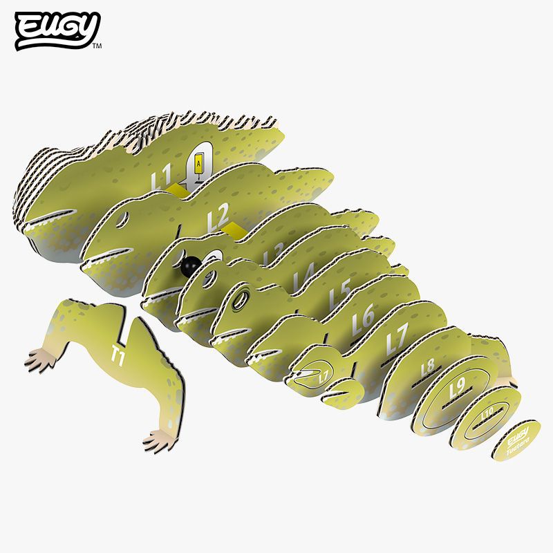 Tuatara Animal Puzzle