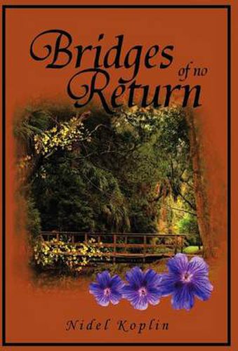 Cover image for Bridges of No Return