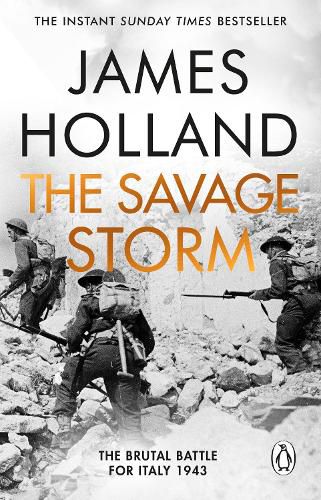 Cover image for The Savage Storm