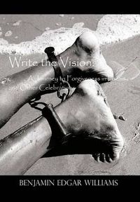 Cover image for Write the Vision