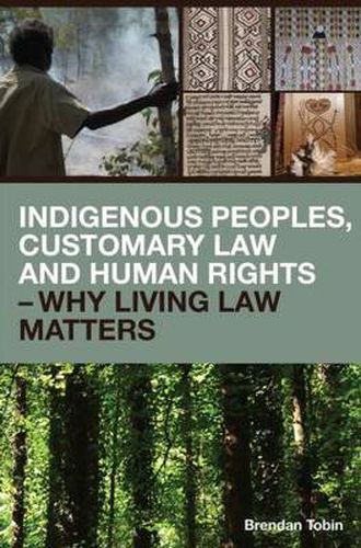 Cover image for Indigenous Peoples, Customary Law and Human Rights - Why Living Law Matters