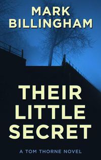 Cover image for Their Little Secret