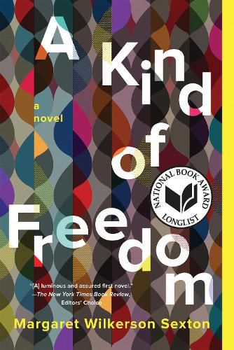 Cover image for A Kind of Freedom: A Novel