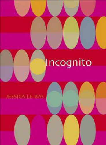 Incognito: paperback