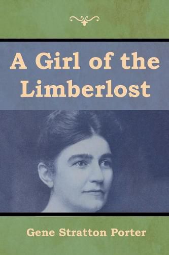 Cover image for A Girl of the Limberlost