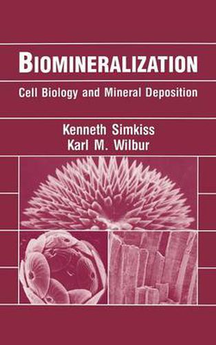 Cover image for Biomineralization