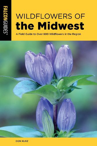 Cover image for Wildflowers of the Midwest: A Field Guide to Over 600 Wildflowers in the Region