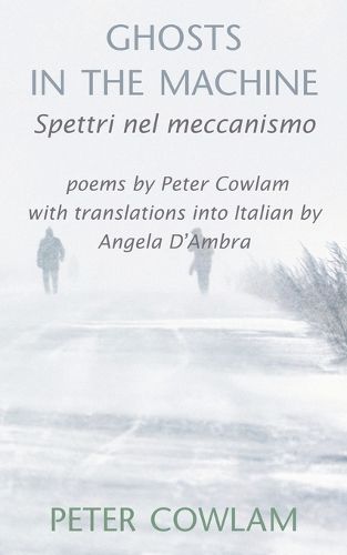 Cover image for Ghosts in the Machine