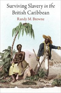 Cover image for Surviving Slavery in the British Caribbean