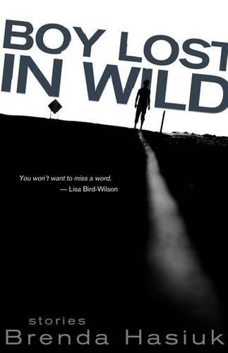 Cover image for Boy Lost in Wild