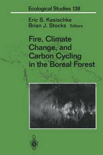 Cover image for Fire, Climate Change, and Carbon Cycling in the Boreal Forest