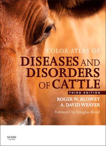 Cover image for Color Atlas of Diseases and Disorders of Cattle