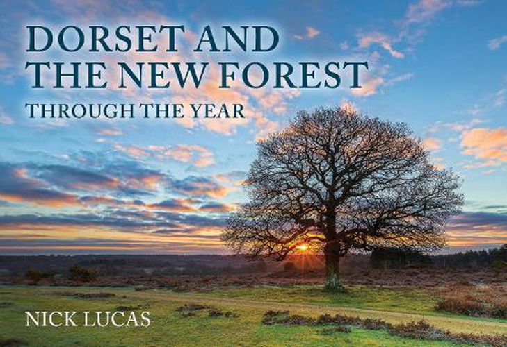 Cover image for Dorset and the New Forest Through the Year