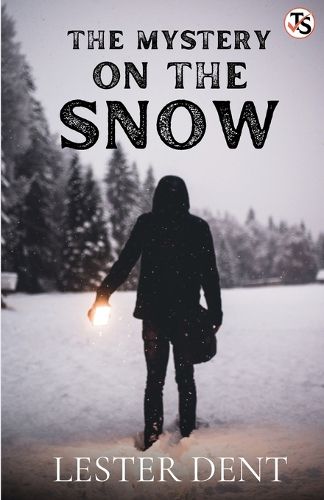 Cover image for The Mystery on the Snow