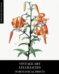 Cover image for Vintage Art: Les Liliacees 30 Botanical Prints