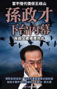 Cover image for Sun Zhengcai Was Dismissed