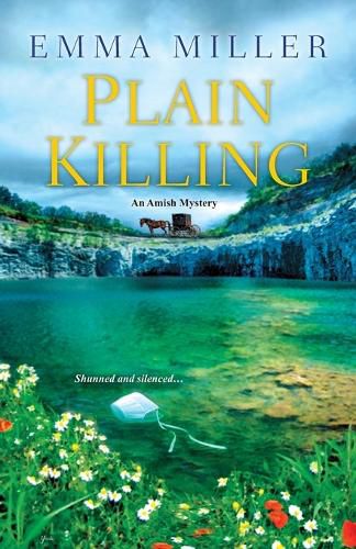 Cover image for Plain Killing