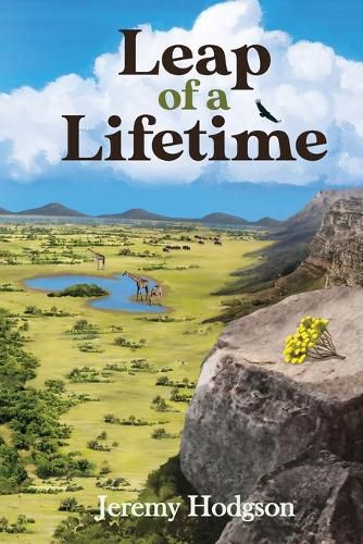 Cover image for Leap of a Lifetime