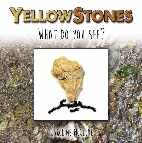 Cover image for Yellow Stones