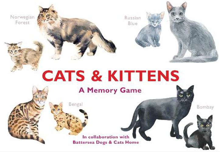 Cover image for Cats And Kittens Memory Game