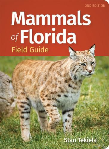 Cover image for Mammals of Florida Field Guide