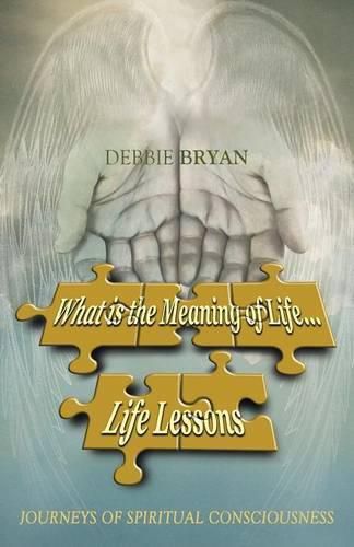 Cover image for What is the Meaning of Life... Life Lessons