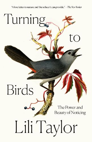 Cover image for Turning to Birds