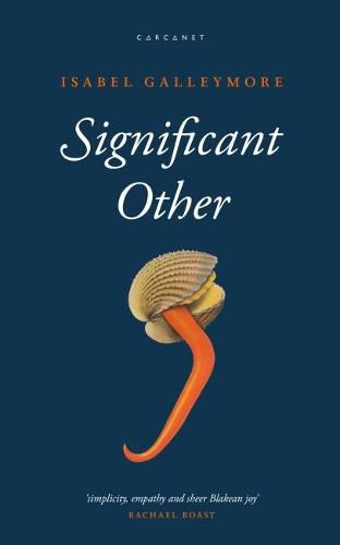 Cover image for Significant Other