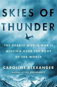 Cover image for Skies of Thunder