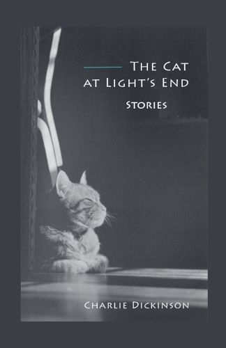 Cover image for The Cat at Light's End