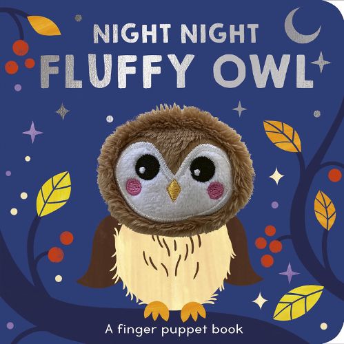 Cover image for Night Night Fluffy Owl