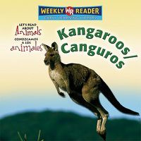 Cover image for Kangaroos / Canguros