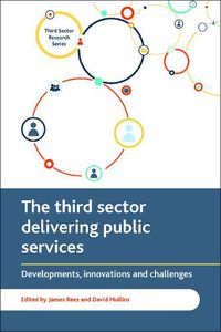 Cover image for The Third Sector Delivering Public Services: Developments, Innovations and Challenges
