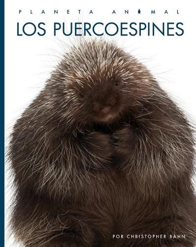 Cover image for Los Puercoespines