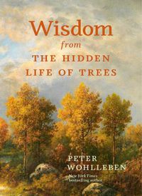 Cover image for Wisdom from the Hidden Life of Trees