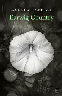 Cover image for Earwig Country