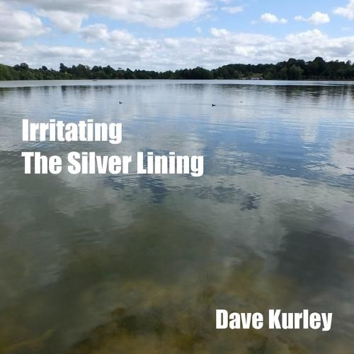 Cover image for Irritating the Silver Lining