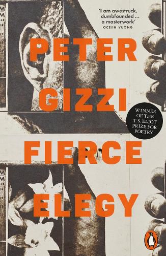 Cover image for Fierce Elegy