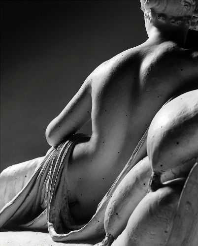 Cover image for Canova: In Four Tempos