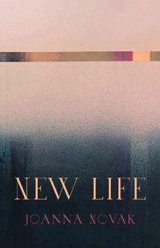 Cover image for New Life