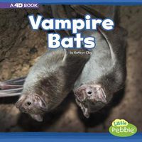 Cover image for Vampire Bats: A 4D Book
